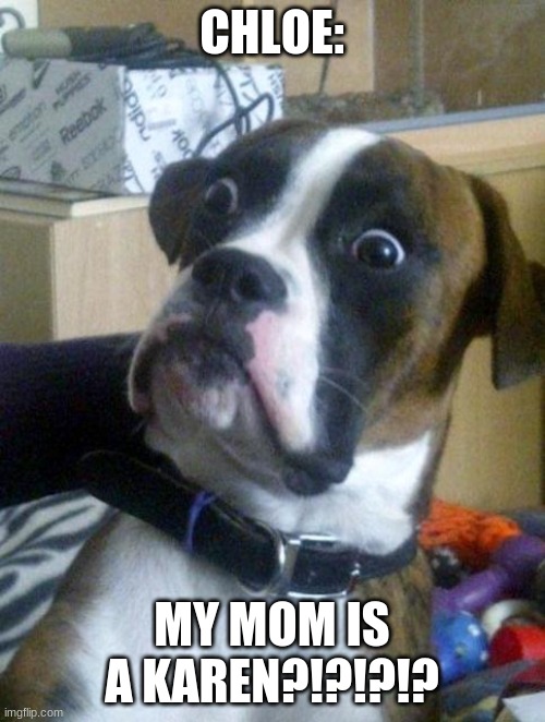 Suprised Boxer | CHLOE: MY MOM IS A KAREN?!?!?!? | image tagged in suprised boxer | made w/ Imgflip meme maker