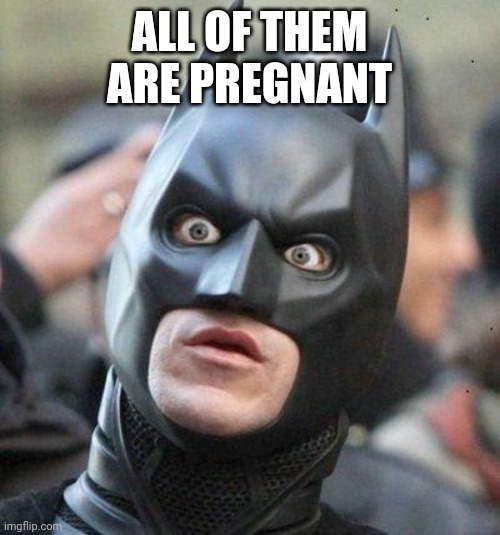 Shocked Batman | ALL OF THEM ARE PREGNANT | image tagged in shocked batman | made w/ Imgflip meme maker