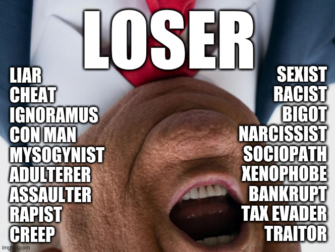 We Hold These Truths To Be Self-Evident | LOSER; SEXIST
RACIST
BIGOT
NARCISSIST
SOCIOPATH
XENOPHOBE
BANKRUPT
TAX EVADER
TRAITOR; LIAR
CHEAT
IGNORAMUS
CON MAN
MYSOGYNIST
ADULTERER
ASSAULTER
RAPIST
CREEP | image tagged in trump,loser | made w/ Imgflip meme maker