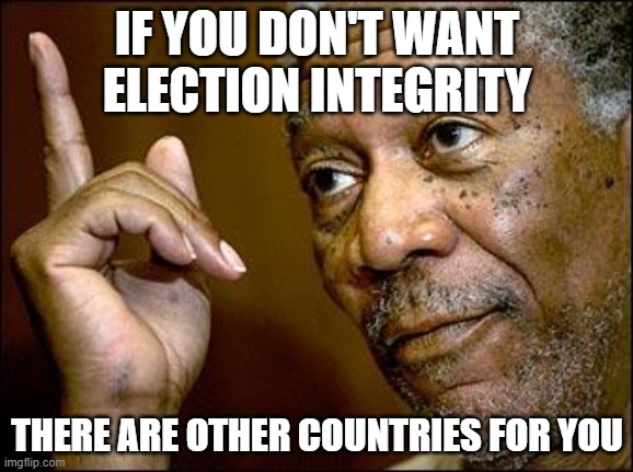 Election Integrity | IF YOU DON'T WANT ELECTION INTEGRITY; THERE ARE OTHER COUNTRIES FOR YOU | image tagged in this morgan freeman | made w/ Imgflip meme maker