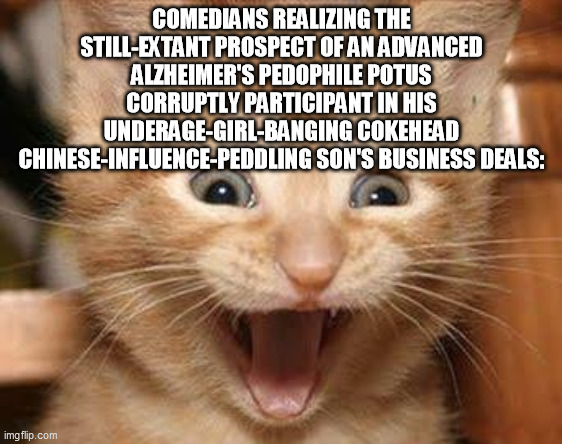 Excited Cat Meme | COMEDIANS REALIZING THE STILL-EXTANT PROSPECT OF AN ADVANCED ALZHEIMER'S PEDOPHILE POTUS CORRUPTLY PARTICIPANT IN HIS UNDERAGE-GIRL-BANGING  | image tagged in memes,excited cat | made w/ Imgflip meme maker