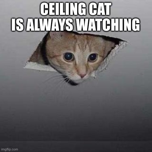 We are watching | CEILING CAT IS ALWAYS WATCHING | image tagged in memes,ceiling cat | made w/ Imgflip meme maker