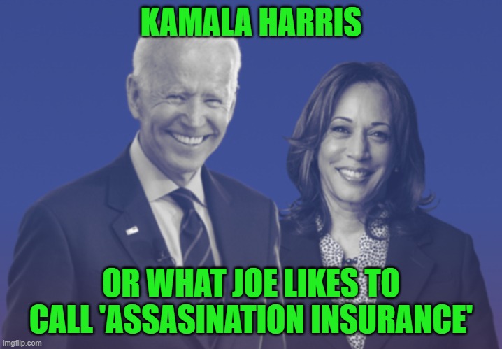 Thanks to MemeSpirieted for the idea! | KAMALA HARRIS; OR WHAT JOE LIKES TO CALL 'ASSASINATION INSURANCE' | image tagged in biden harris 2020 | made w/ Imgflip meme maker