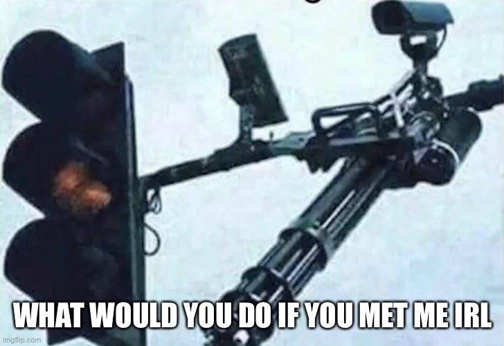 WHAT WOULD YOU DO IF YOU MET ME IRL | made w/ Imgflip meme maker