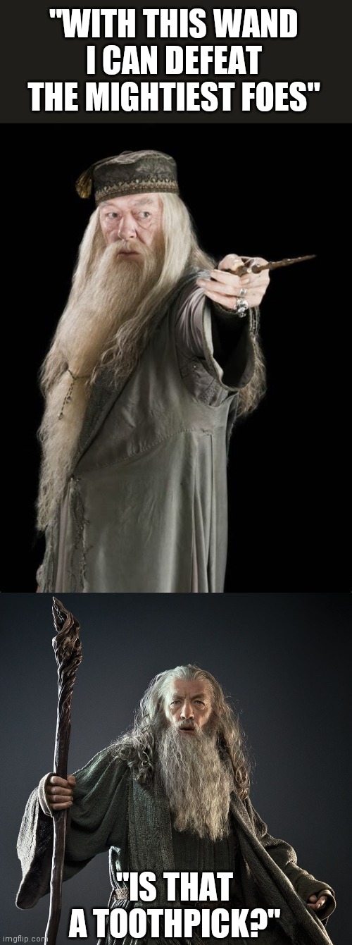 THAT "TOOTHPICK" WON'T HELP YOU AGAINST THAT STAFF | "WITH THIS WAND I CAN DEFEAT THE MIGHTIEST FOES"; "IS THAT A TOOTHPICK?" | image tagged in gandalf,lotr,lord of the rings,dumbledore | made w/ Imgflip meme maker
