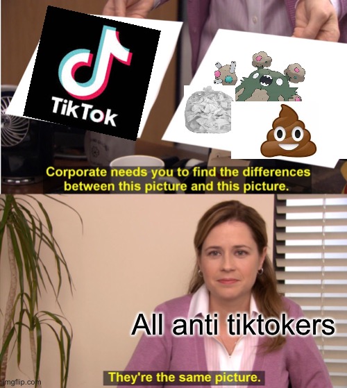 They're The Same Picture | All anti tiktokers | image tagged in memes,they're the same picture | made w/ Imgflip meme maker