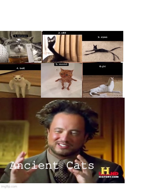 Ancient cats | Ancient Cats | image tagged in memes,ancient aliens,funny cats | made w/ Imgflip meme maker