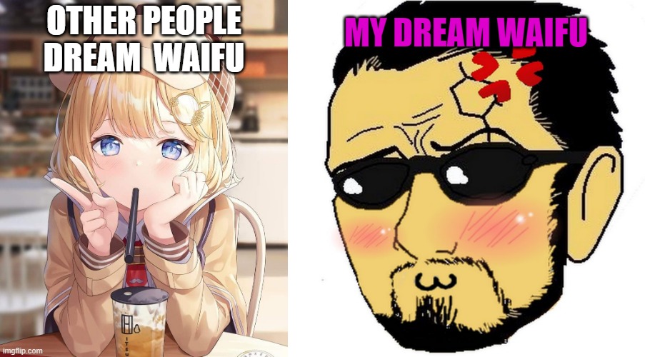 MY DREAM WAIFU; OTHER PEOPLE DREAM  WAIFU | image tagged in waifu | made w/ Imgflip meme maker