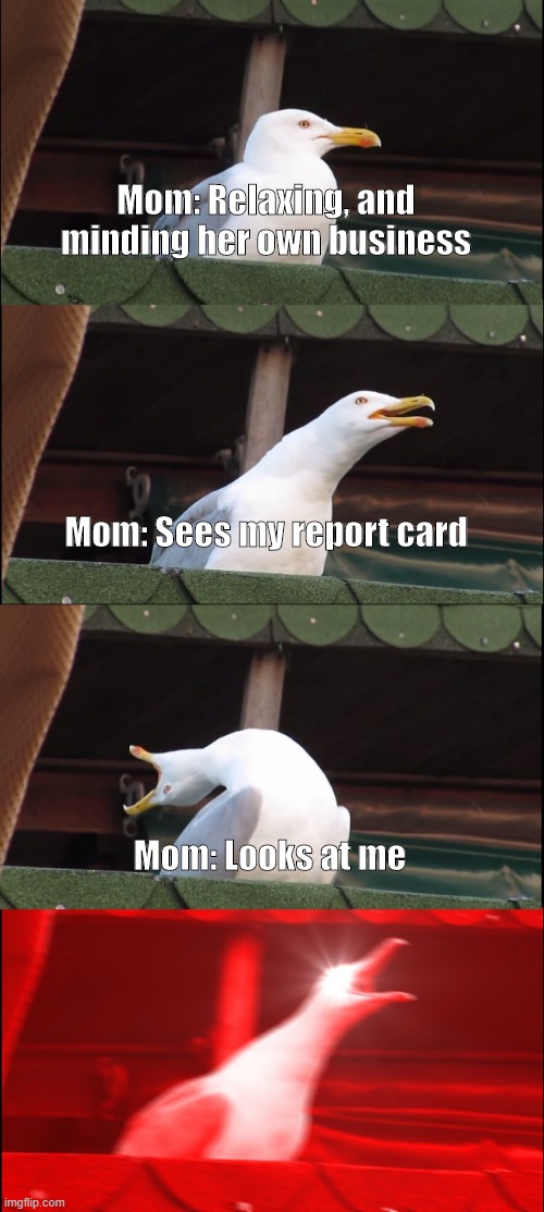 *Grabs Chancleta Aggressively* | Mom: Relaxing, and minding her own business; Mom: Sees my report card; Mom: Looks at me | image tagged in memes,inhaling seagull | made w/ Imgflip meme maker