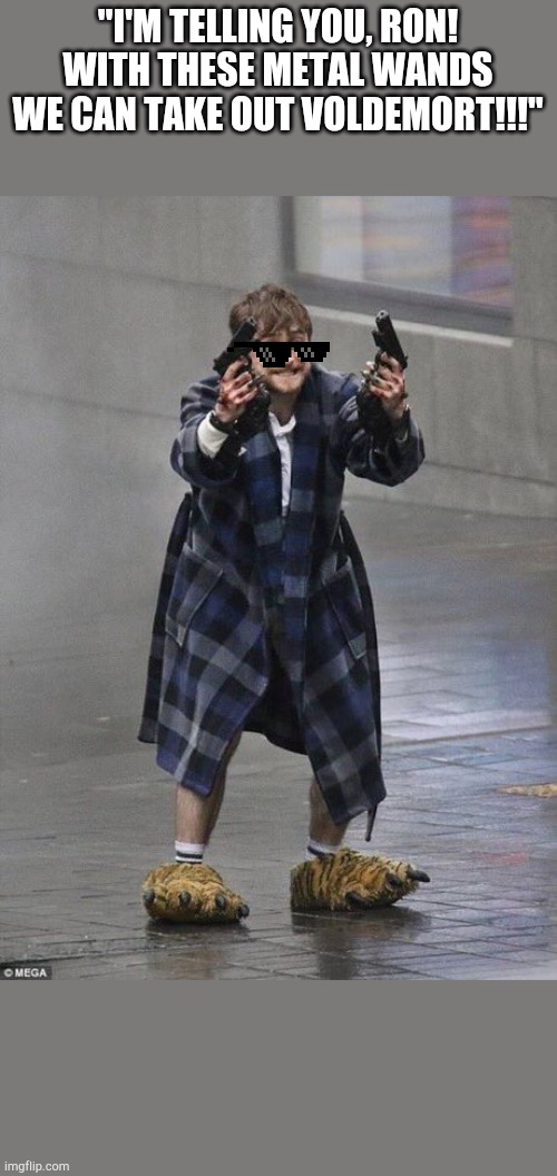 Harry Potter and the dual glocks | "I'M TELLING YOU, RON! WITH THESE METAL WANDS WE CAN TAKE OUT VOLDEMORT!!!" | image tagged in harry potter guns | made w/ Imgflip meme maker