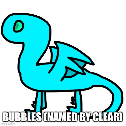 Bubbles | BUBBLES (NAMED BY CLEAR) | made w/ Imgflip meme maker