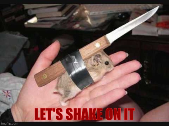 Lock and Load Hamster | LET'S SHAKE ON IT | image tagged in lock and load hamster | made w/ Imgflip meme maker