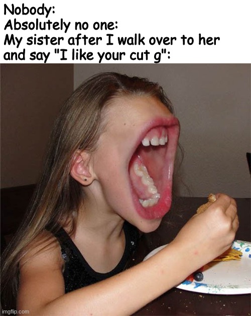 like bruh | Nobody:
Absolutely no one:
My sister after I walk over to her and say "I like your cut g": | made w/ Imgflip meme maker