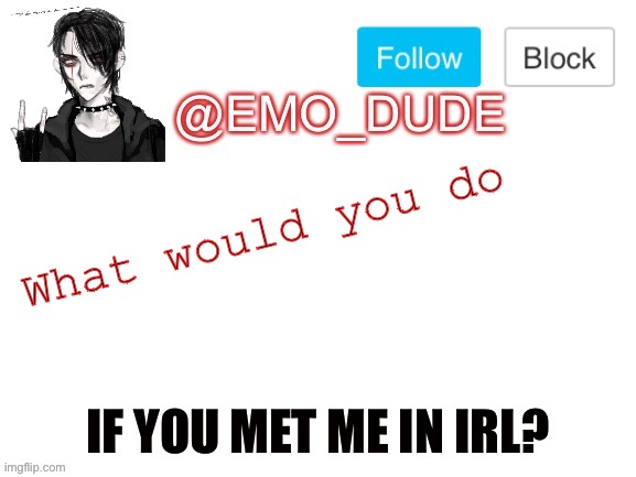 Emo_dude announcement template | What would you do; IF YOU MET ME IN IRL? | image tagged in emo_dude announcement template | made w/ Imgflip meme maker