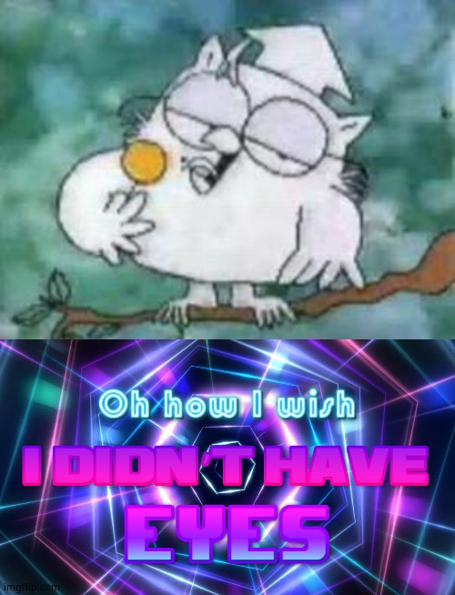 image tagged in tootsie pop owl,oh how i wish i didn t have eyes,memes | made w/ Imgflip meme maker