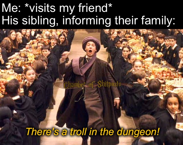 This is what they say behind our baccs | Me: *visits my friend*
His sibling, informing their family:; There's a troll in the dungeon! | image tagged in funny | made w/ Imgflip meme maker