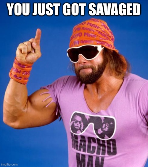 YOU JUST GOT SAVAGED | image tagged in macho man,randy savage,savage,funny,goofy | made w/ Imgflip meme maker