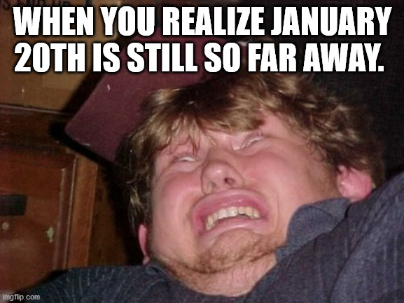 WTF | WHEN YOU REALIZE JANUARY 20TH IS STILL SO FAR AWAY. | image tagged in memes,wtf | made w/ Imgflip meme maker