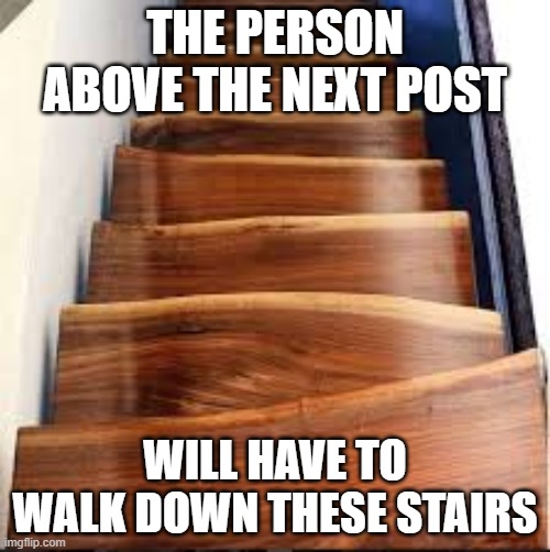 * e v o l laughter | THE PERSON ABOVE THE NEXT POST; WILL HAVE TO WALK DOWN THESE STAIRS | made w/ Imgflip meme maker