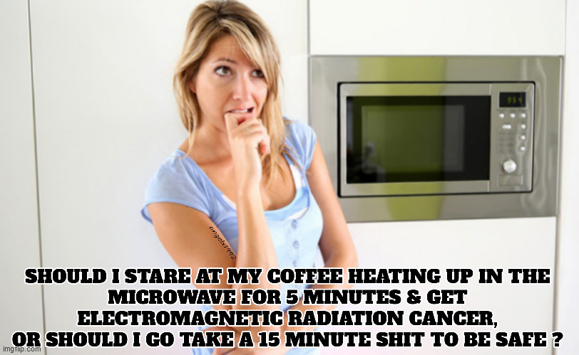 blonde decisions | image tagged in blondes,dumb blonde,microwave,shit,radiation,cancer | made w/ Imgflip meme maker