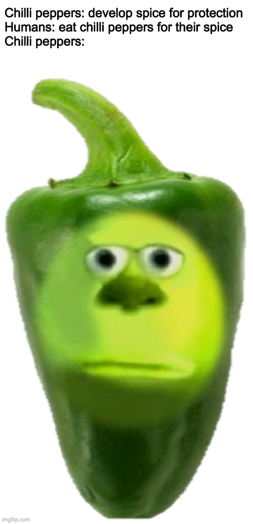 Imagine spending aeons evolving protection just to end up as a snack | Chilli peppers: develop spice for protection
Humans: eat chilli peppers for their spice
Chilli peppers: | image tagged in funny,memes,mike wazowski face swap,spicy memes | made w/ Imgflip meme maker