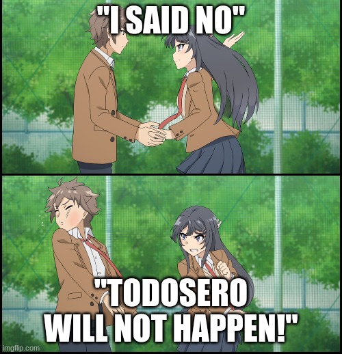 KiriBakuDeku all the way | "I SAID NO"; "TODOSERO WILL NOT HAPPEN!" | image tagged in anime girl slapping a guy | made w/ Imgflip meme maker