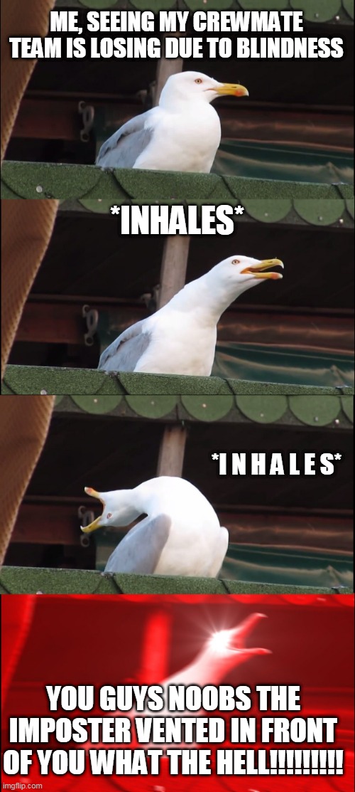 BLINDNESS PROBLEM IN AMONG US | ME, SEEING MY CREWMATE TEAM IS LOSING DUE TO BLINDNESS; *INHALES*; *I N H A L E S*; YOU GUYS NOOBS THE IMPOSTER VENTED IN FRONT OF YOU WHAT THE HELL!!!!!!!!! | image tagged in memes,inhaling seagull | made w/ Imgflip meme maker