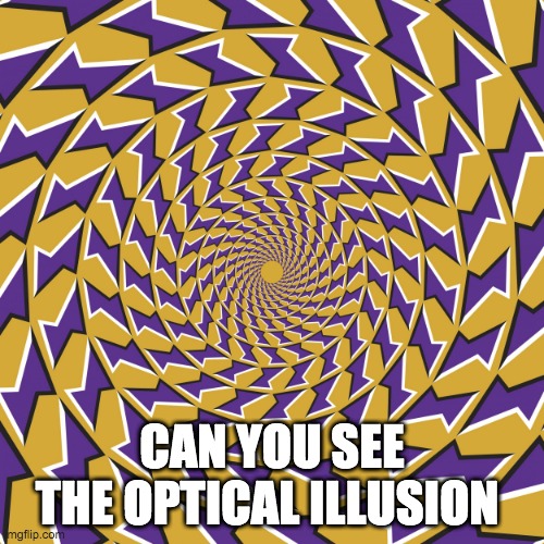 CAN YOU SEE THE OPTICAL ILLUSION | image tagged in memes,optical illusion,fun | made w/ Imgflip meme maker