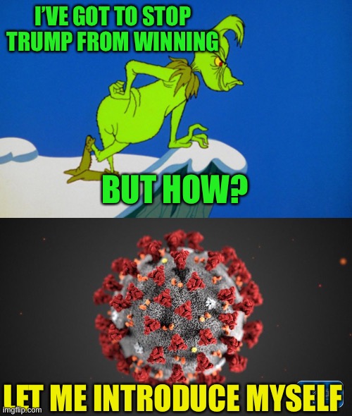 I’VE GOT TO STOP TRUMP FROM WINNING BUT HOW? LET ME INTRODUCE MYSELF | image tagged in grinch,covid 19 | made w/ Imgflip meme maker