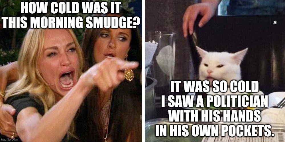 Smudge the cat | HOW COLD WAS IT THIS MORNING SMUDGE? JM; IT WAS SO COLD I SAW A POLITICIAN WITH HIS HANDS IN HIS OWN POCKETS. | image tagged in smudge the cat | made w/ Imgflip meme maker