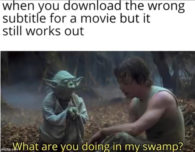 shrek 5 | image tagged in shrek,yoda,star wars yoda,memes,fun | made w/ Imgflip meme maker