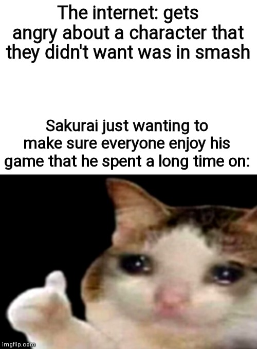 Just let the guy do his work | The internet: gets angry about a character that they didn't want was in smash; Sakurai just wanting to make sure everyone enjoy his game that he spent a long time on: | image tagged in sad cat thumbs up white spacing | made w/ Imgflip meme maker