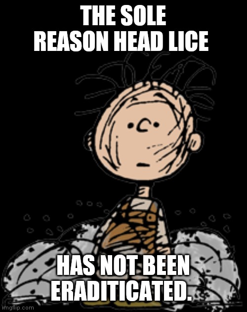 Pig pen | THE SOLE REASON HEAD LICE; HAS NOT BEEN ERADICATED. | image tagged in pig,dirty,dirty mind,dirty joke | made w/ Imgflip meme maker
