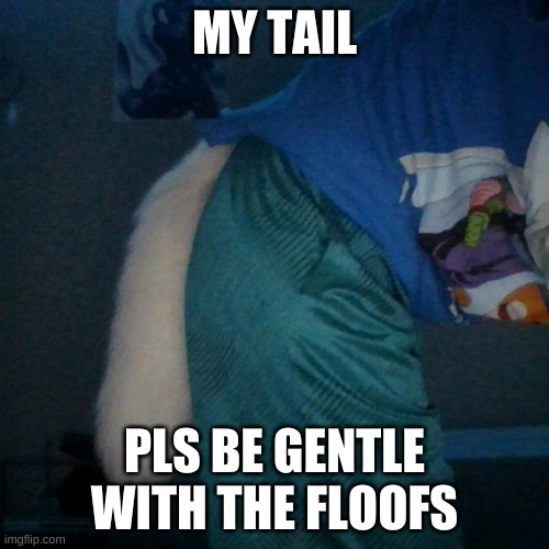 My tail is more fragile than thin glass, so be careful, thamks :> | MY TAIL; PLS BE GENTLE WITH THE FLOOFS | image tagged in furry,tail pic,why did i make this | made w/ Imgflip meme maker