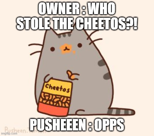pusheen stole the cheetos |  OWNER : WHO STOLE THE CHEETOS?! PUSHEEEN : OPPS | image tagged in pusheen stole the cheetos | made w/ Imgflip meme maker