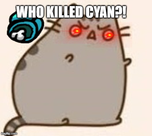 Y U NO PUSHEEN |  WHO KILLED CYAN?! | image tagged in y u no pusheen | made w/ Imgflip meme maker