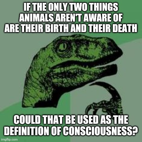 Time raptor  | IF THE ONLY TWO THINGS ANIMALS AREN'T AWARE OF ARE THEIR BIRTH AND THEIR DEATH; COULD THAT BE USED AS THE DEFINITION OF CONSCIOUSNESS? | image tagged in time raptor | made w/ Imgflip meme maker
