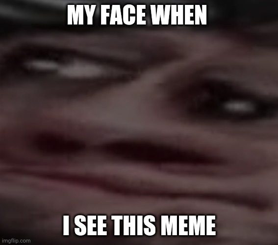 My face when X | MY FACE WHEN I SEE THIS MEME | image tagged in my face when x | made w/ Imgflip meme maker