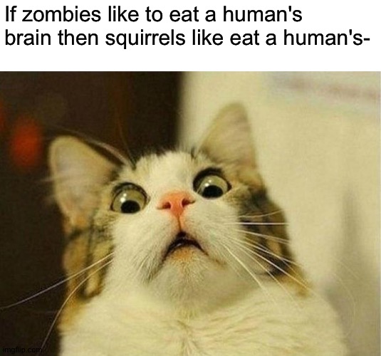 What the- I don't even- | If zombies like to eat a human's brain then squirrels like eat a human's- | image tagged in memes,scared cat,funny,cursed,squirrel,cats | made w/ Imgflip meme maker