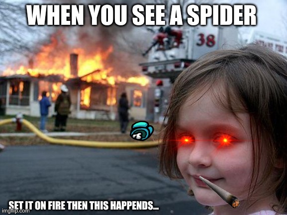 SO WHEN YOU SEE A SPIDER BURN IT TO HELL!!! | WHEN YOU SEE A SPIDER; SET IT ON FIRE THEN THIS HAPPENDS... | image tagged in memes,disaster girl | made w/ Imgflip meme maker