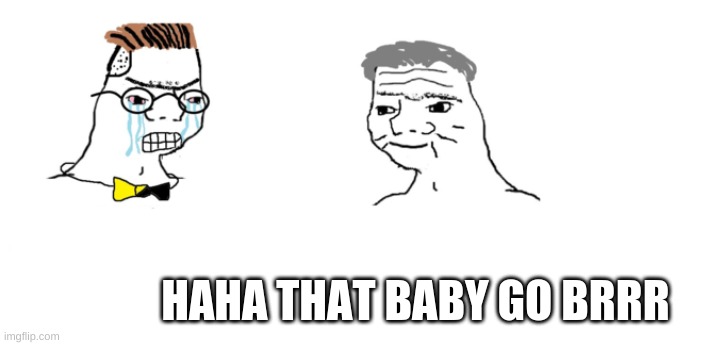 HAHA THAT BABY GO BRRR | image tagged in nooo haha go brrr | made w/ Imgflip meme maker