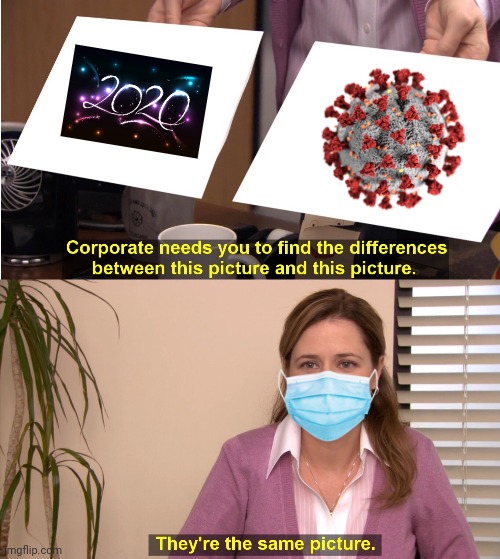 They're The Same Picture | image tagged in memes,they're the same picture,2020,2020 sucks,coronavirus,covid-19 | made w/ Imgflip meme maker