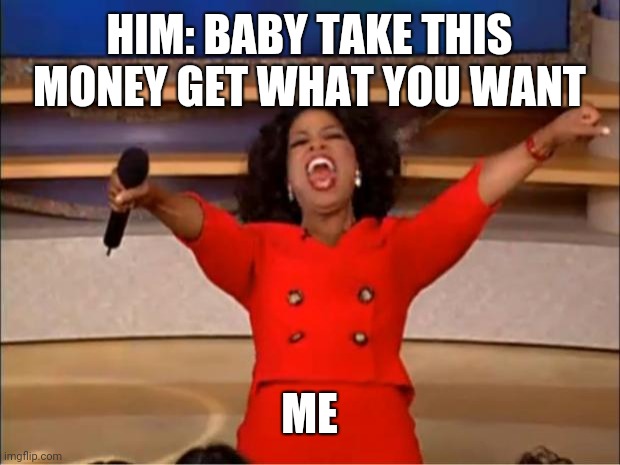 Oprah You Get A Meme | HIM: BABY TAKE THIS MONEY GET WHAT YOU WANT; ME | image tagged in memes,oprah you get a | made w/ Imgflip meme maker