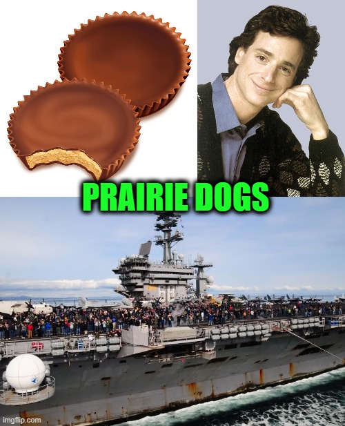 Try this: take about 60 seconds and quickly make a meme out of 3 random images that don't have anything to do with each other, a |  PRAIRIE DOGS | image tagged in peanut butter cups,bob saget full house,uss nimitz,stupid,confused confusing confusion | made w/ Imgflip meme maker