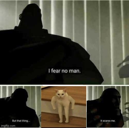 Beware of the cat | image tagged in i fear no man,funny cats | made w/ Imgflip meme maker