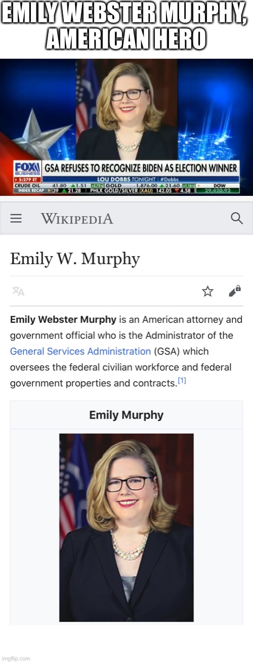 Emily Webster Murphy, American hero! | EMILY WEBSTER MURPHY, 
AMERICAN HERO | image tagged in election 2020,election fraud,democrat party,joe biden,president trump,republican party | made w/ Imgflip meme maker