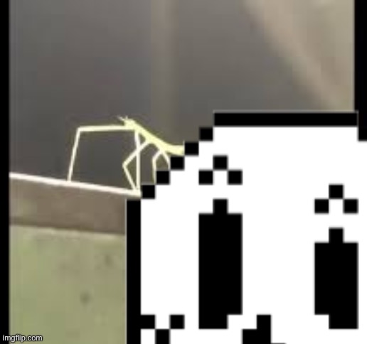 Papyrus go to the park and take a selfie with a stickbug | image tagged in papyrus | made w/ Imgflip meme maker