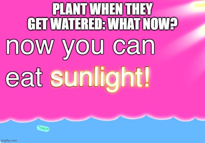Now You Can Eat Sunlight | PLANT WHEN THEY GET WATERED: WHAT NOW? | image tagged in now you can eat sunlight | made w/ Imgflip meme maker
