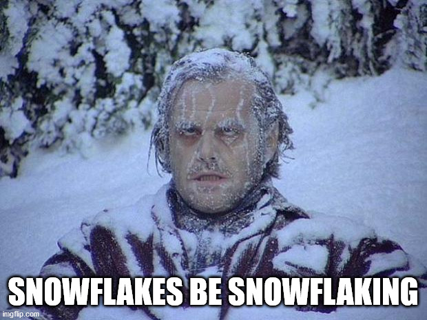 snowflaking | SNOWFLAKES BE SNOWFLAKING | image tagged in memes,jack nicholson the shining snow | made w/ Imgflip meme maker