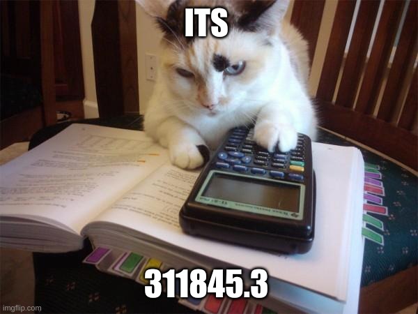 Math cat | ITS 311845.3 | image tagged in math cat | made w/ Imgflip meme maker